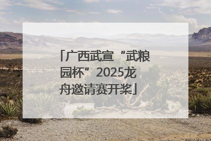 广西武宣“武粮园杯”2025龙舟邀请赛开桨