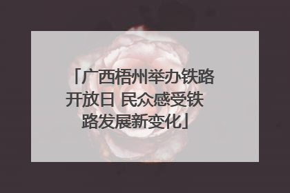 广西梧州举办铁路开放日 民众感受铁路发展新变化
