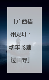 广西梧州龙圩：动车飞驰过田野