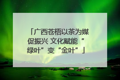 广西苍梧以茶为媒促振兴 文化赋能“绿叶”变“金叶”