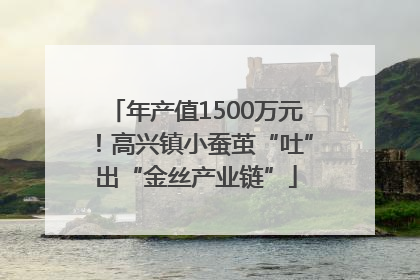 年产值1500万元！高兴镇小蚕茧“吐”出“金丝产业链”