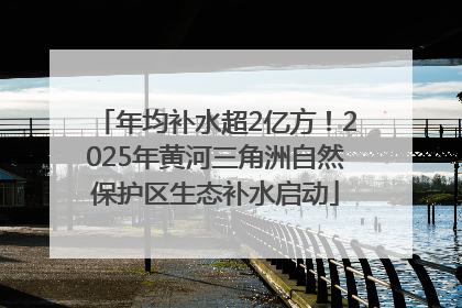 年均补水超2亿方！2025年黄河三角洲自然保护区生态补水启动