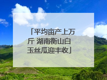 平均亩产上万斤 湖南衡山白玉丝瓜迎丰收