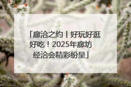 廊洽之约丨好玩好逛好吃！2025年廊坊经洽会精彩纷呈