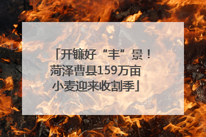 开镰好“丰”景！菏泽曹县159万亩小麦迎来收割季