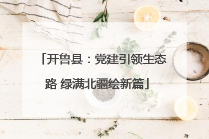 开鲁县：党建引领生态路 绿满北疆绘新篇