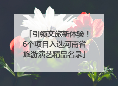 引领文旅新体验！6个项目入选河南省旅游演艺精品名录