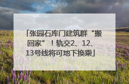 张园石库门建筑群“搬回家”！轨交2、12、13号线将可地下换乘