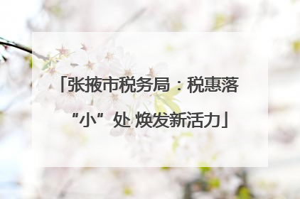 张掖市税务局：税惠落“小”处 焕发新活力