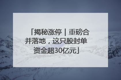 揭秘涨停｜重磅合并落地，这只股封单资金超30亿元