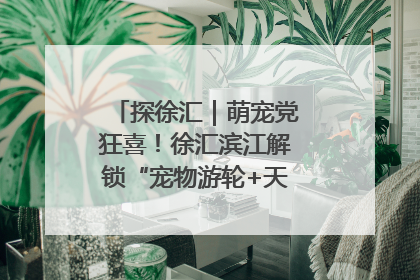 探徐汇｜萌宠党狂喜！徐汇滨江解锁“宠物游轮+天台乐园”双玩法