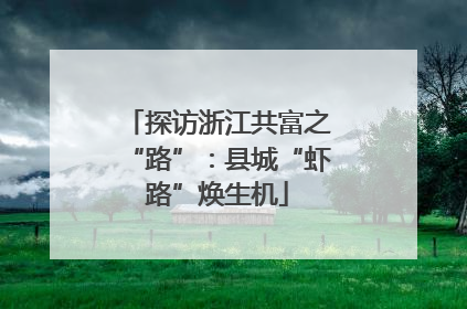 探访浙江共富之“路”：县城“虾路”焕生机