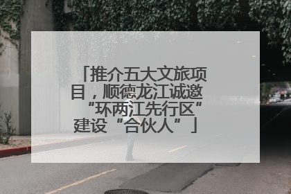 推介五大文旅项目，顺德龙江诚邀“环两江先行区”建设“合伙人”