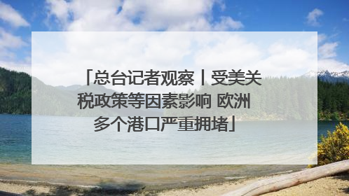 总台记者观察丨受美关税政策等因素影响 欧洲多个港口严重拥堵