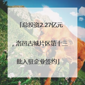 总投资2.27亿元，洛邑古城片区第十三批入驻企业签约