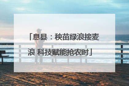 息县：秧苗绿浪接麦浪 科技赋能抢农时
