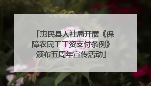 惠民县人社局开展《保障农民工工资支付条例》颁布五周年宣传活动