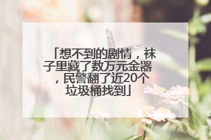 想不到的剧情，袜子里藏了数万元金器，民警翻了近20个垃圾桶找到