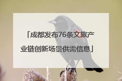 成都发布76条文旅产业链创新场景供需信息