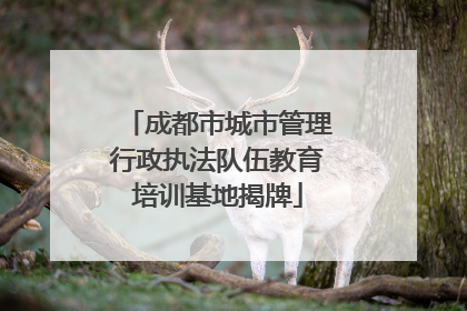 成都市城市管理行政执法队伍教育培训基地揭牌