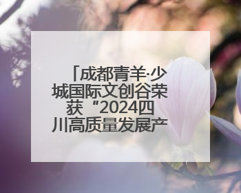 成都青羊·少城国际文创谷荣获“2024四川高质量发展产业园区”