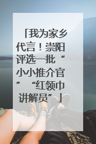 我为家乡代言！崇阳评选一批“小小推介官”“红领巾讲解员”
