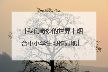 我们奇妙的世界｜烟台中小学生习作园地