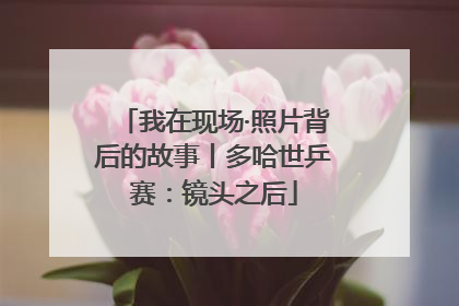我在现场·照片背后的故事丨多哈世乒赛：镜头之后