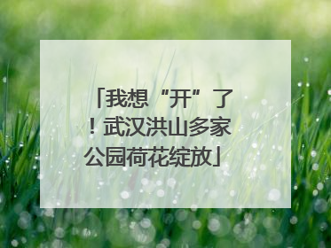 我想“开”了！武汉洪山多家公园荷花绽放