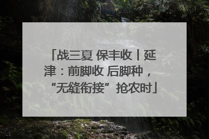 战三夏 保丰收丨延津：前脚收 后脚种，“无缝衔接”抢农时