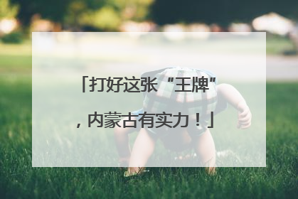 打好这张“王牌”，内蒙古有实力！