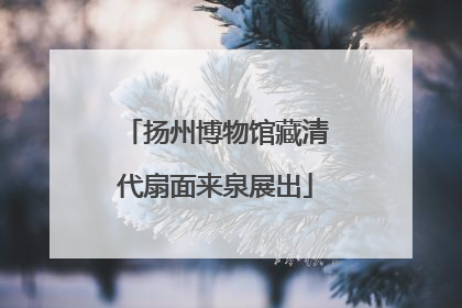 扬州博物馆藏清代扇面来泉展出