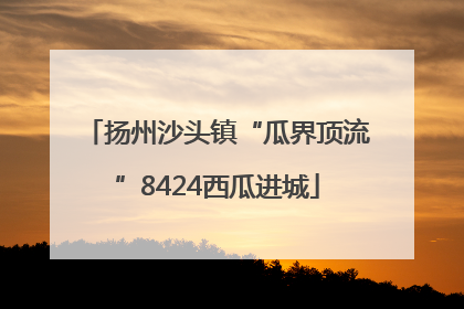 扬州沙头镇“瓜界顶流”8424西瓜进城