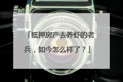 抵押房产去养虾的老兵，如今怎么样了？
