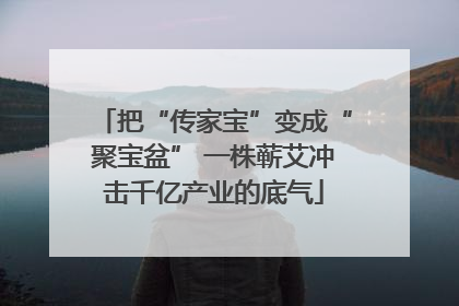 把“传家宝”变成“聚宝盆” 一株蕲艾冲击千亿产业的底气