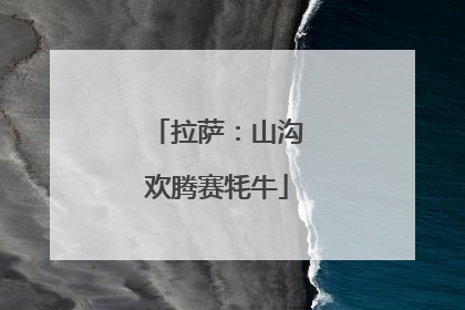 拉萨：山沟欢腾赛牦牛
