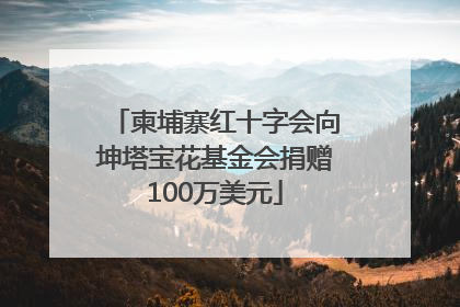 柬埔寨红十字会向坤塔宝花基金会捐赠100万美元