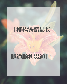 柳梧铁路最长隧道顺利贯通