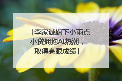 李家诚旗下小雨点小贷拥抱AI热潮，取得亮眼成绩