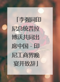 李强同印尼总统普拉博沃共同出席中国－印尼工商界晚宴并致辞