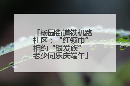 杨园街道铁机路社区：“红领巾”相约“银发族” 老少同乐庆端午