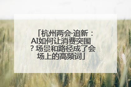 杭州两会·追新：AI如何让消费突围？场景和路径成了会场上的高频词