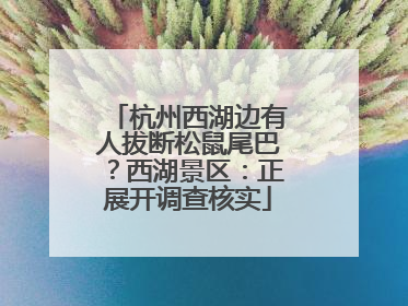 杭州西湖边有人拔断松鼠尾巴？西湖景区：正展开调查核实
