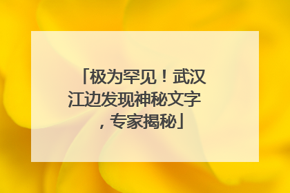 极为罕见！武汉江边发现神秘文字，专家揭秘