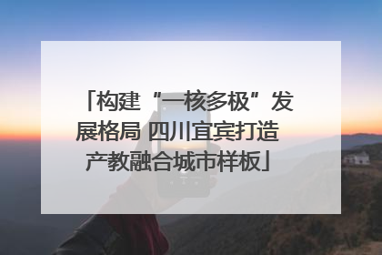 构建“一核多极”发展格局 四川宜宾打造产教融合城市样板