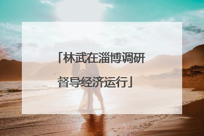 林武在淄博调研督导经济运行