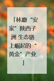林麝“安家”陕西子洲 生态链上崛起的“黄金”产业