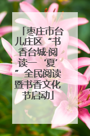 枣庄市台儿庄区“书香台城·阅读一‘夏’”全民阅读暨书香文化节启动