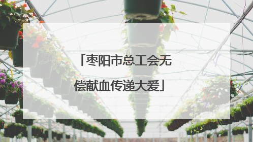 枣阳市总工会无偿献血传递大爱