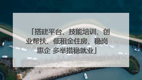 搭建平台、技能培训、创业帮扶、低租金住房、稳岗惠企 多举措稳就业